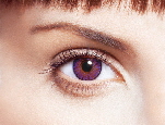 COLORBLENDS_Amethyst_RGB COLORBLENDS_Amethyst_RGB