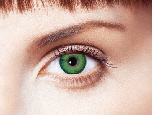 DIMENSION_SeaGreen_RGB DIMENSION_SeaGreen_RGB